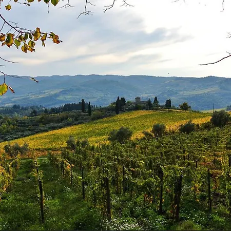 Olivo By Interhome * Lucolena in Chianti