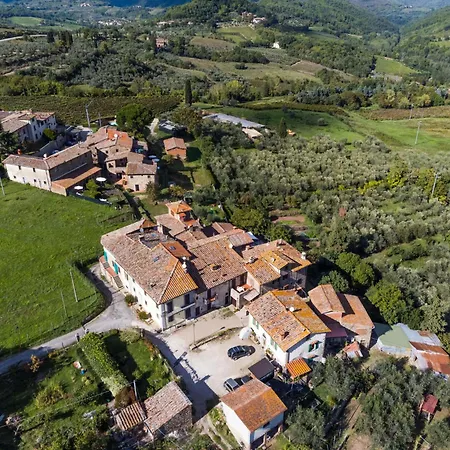 Olivo By Interhome
