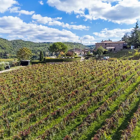 Olivo By Interhome Сasa de vacaciones Lucolena in Chianti